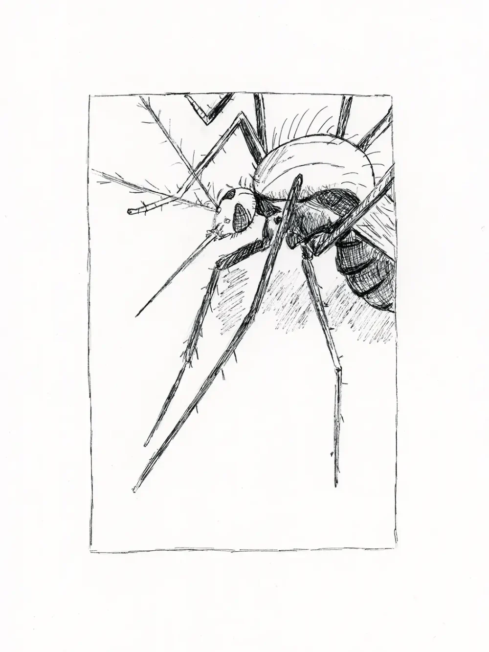 Dibujo 15