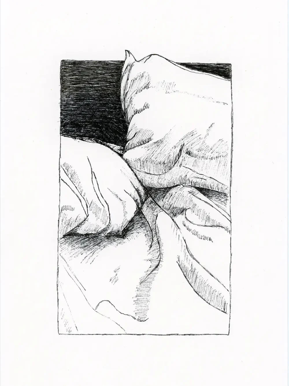 Dibujo 19